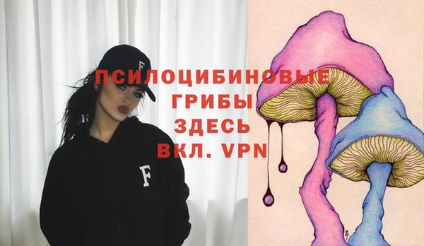 дживик Алзамай